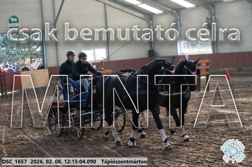 Mintakép 20260208-1288