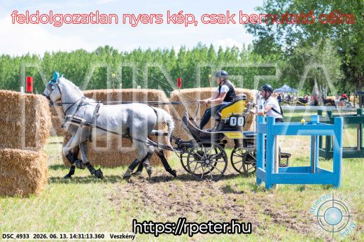 Mintakép 20260613-621