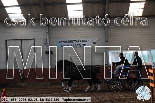 Mintakép 20260208-1289