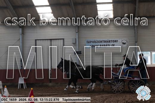 Mintakép 20260208-1290