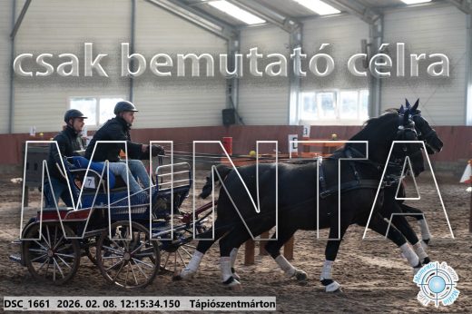 Mintakép 20260208-1292