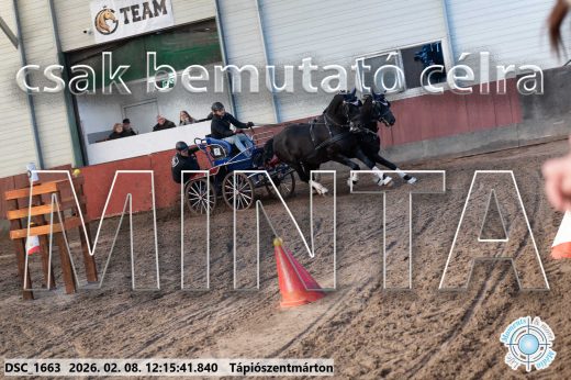 Mintakép 20260208-1294