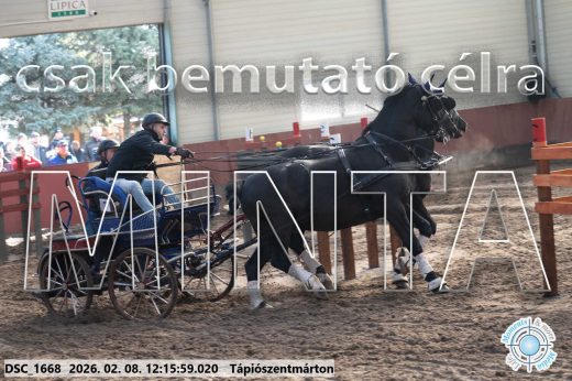 Mintakép 20260208-1297