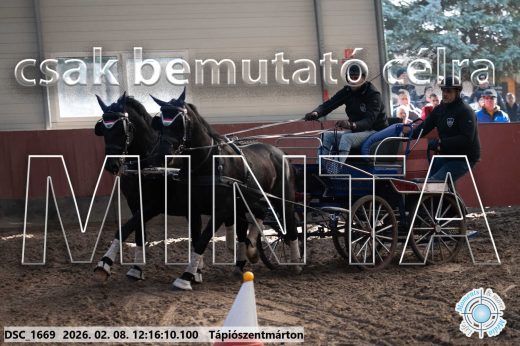 Mintakép 20260208-1298