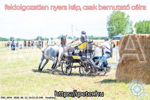 Mintakép 20260613-622
