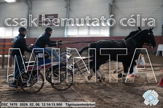 Mintakép 20260208-1299