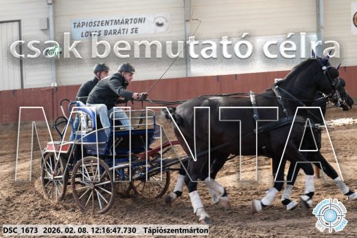 Mintakép 20260208-1302