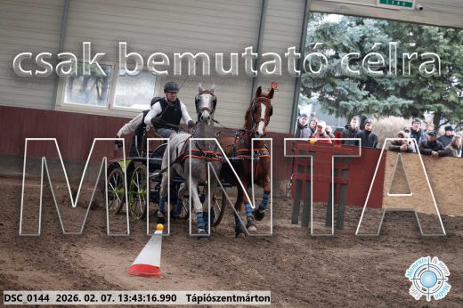 Mintakép 20260207-778