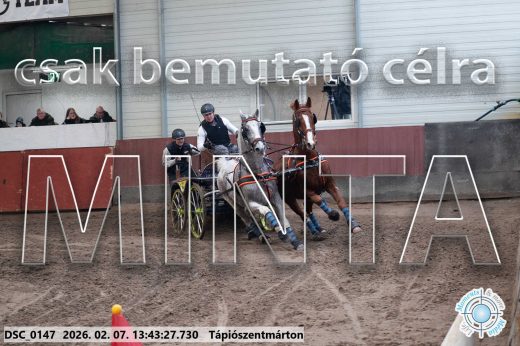 Mintakép 20260207-781