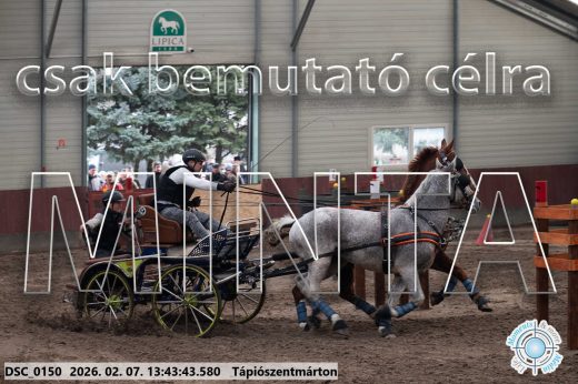 Mintakép 20260207-783