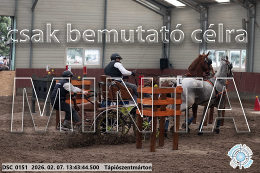 Mintakép 20260207-784