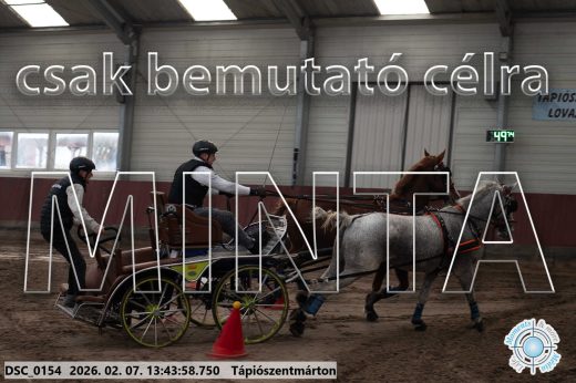 Mintakép 20260207-786