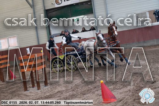 Mintakép 20260207-787