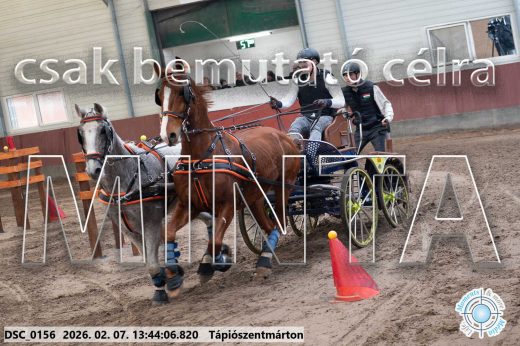 Mintakép 20260207-788