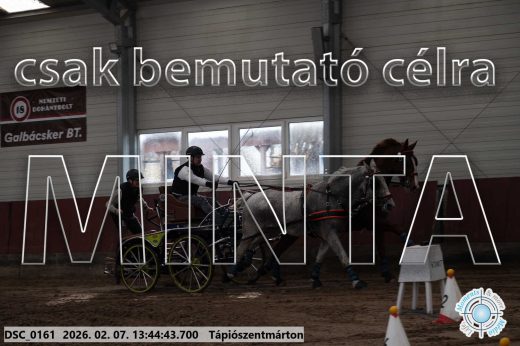 Mintakép 20260207-791