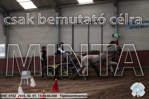 Mintakép 20260207-792