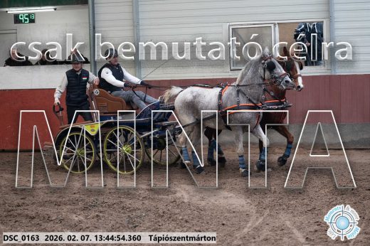 Mintakép 20260207-793