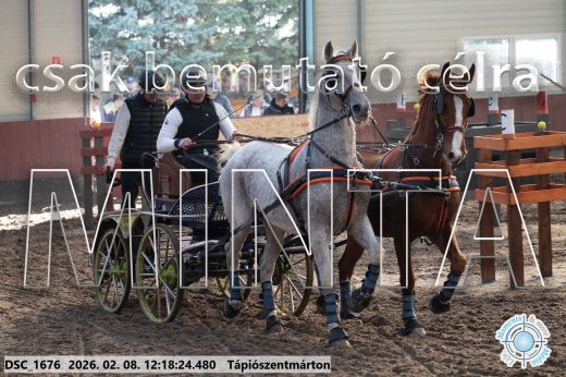 Mintakép 20260208-1305