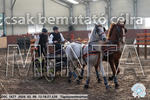 Mintakép 20260208-1306