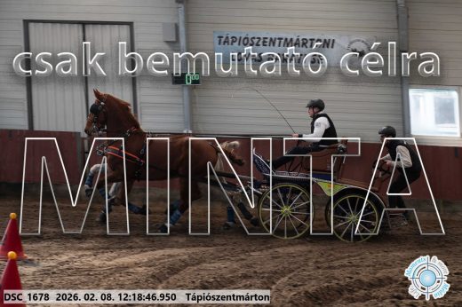 Mintakép 20260208-1307