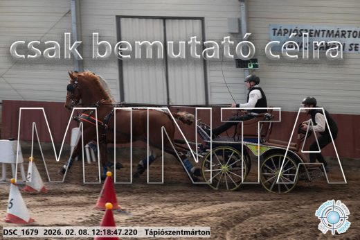 Mintakép 20260208-1308