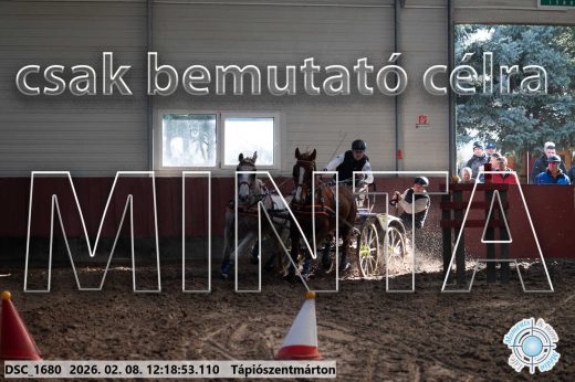 Mintakép 20260208-1309