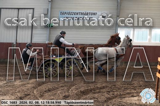 Mintakép 20260208-1312
