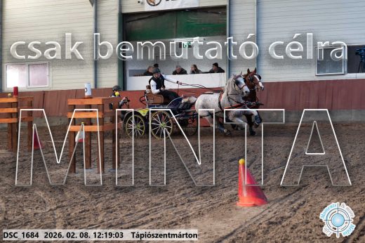 Mintakép 20260208-1313