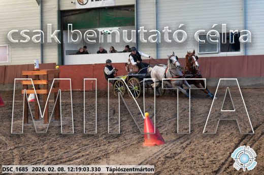 Mintakép 20260208-1314