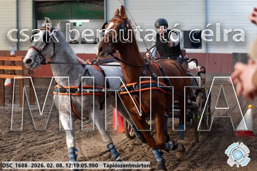 Mintakép 20260208-1315