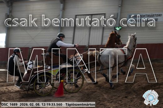 Mintakép 20260208-1316