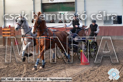 Mintakép 20260208-1317