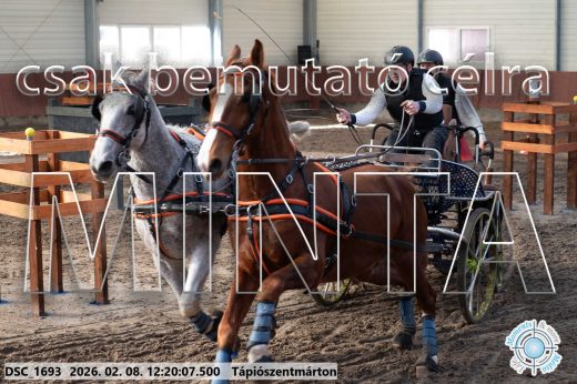 Mintakép 20260208-1318