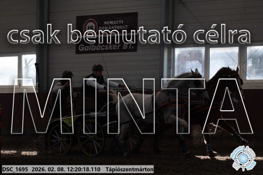 Mintakép 20260208-1319