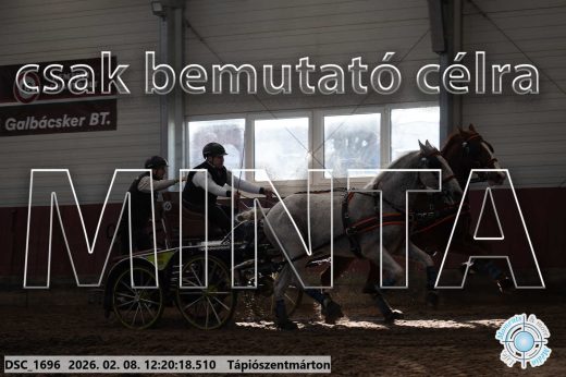 Mintakép 20260208-1320