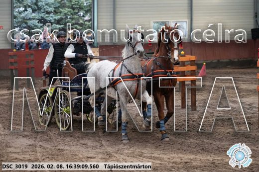 Mintakép 20260208-1322