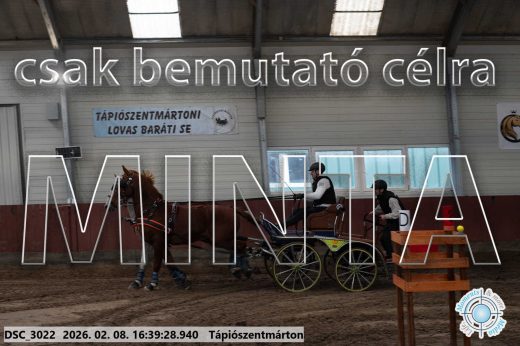 Mintakép 20260208-1325
