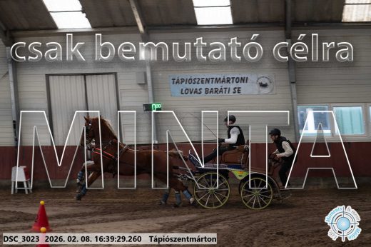 Mintakép 20260208-1326