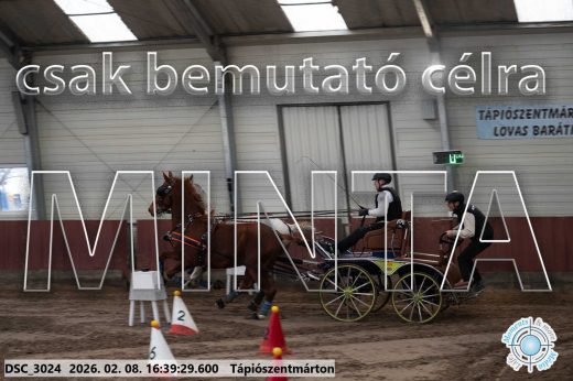 Mintakép 20260208-1327