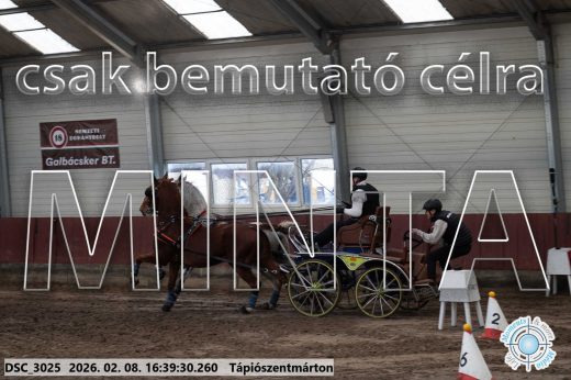 Mintakép 20260208-1328