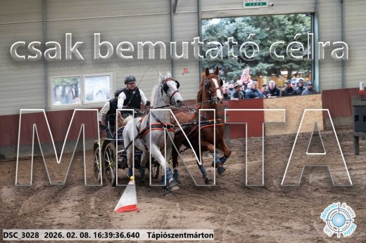 Mintakép 20260208-1331