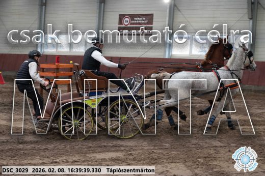 Mintakép 20260208-1332