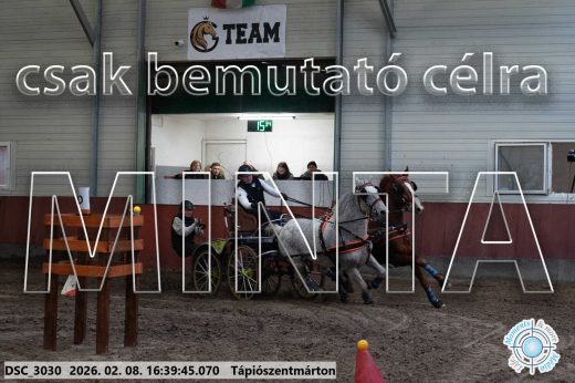 Mintakép 20260208-1333
