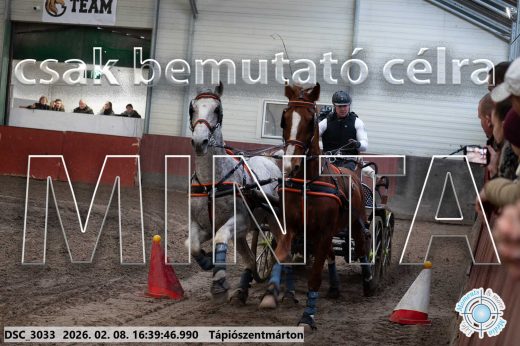 Mintakép 20260208-1335
