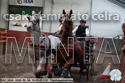 Mintakép 20260208-1336