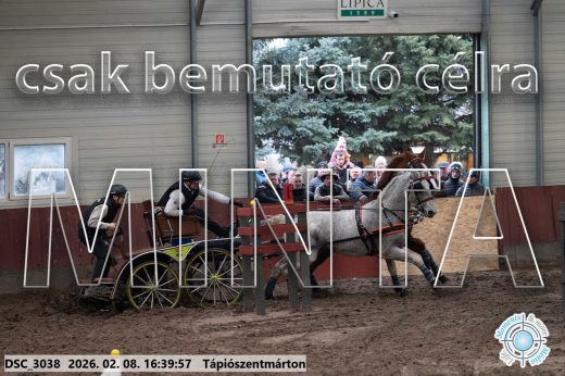 Mintakép 20260208-1338
