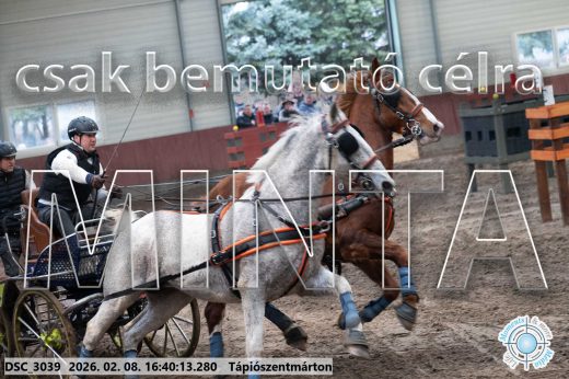 Mintakép 20260208-1339