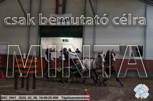 Mintakép 20260208-1341
