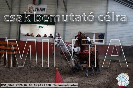 Mintakép 20260208-1342