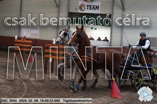 Mintakép 20260208-1344